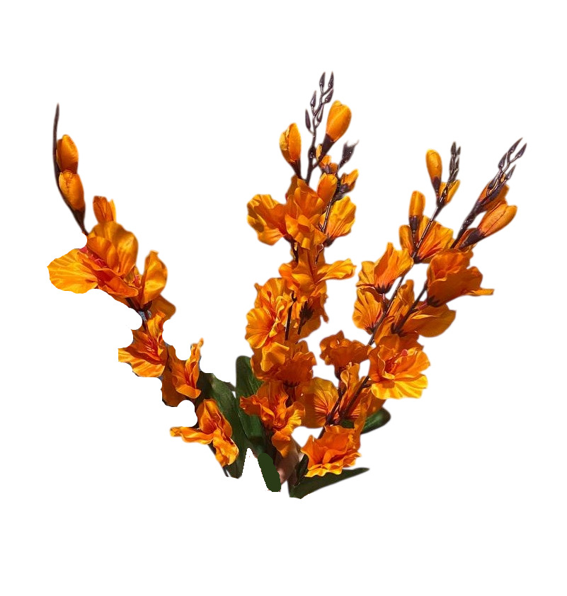 Букет гладиолуса