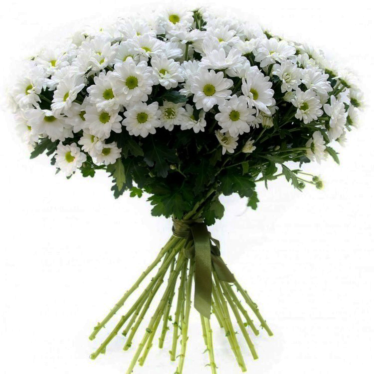 Букет из кустовых хризантем