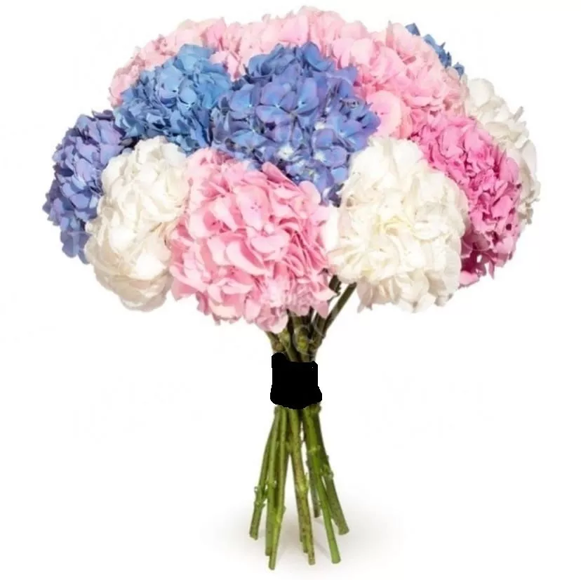 Букет гортензий