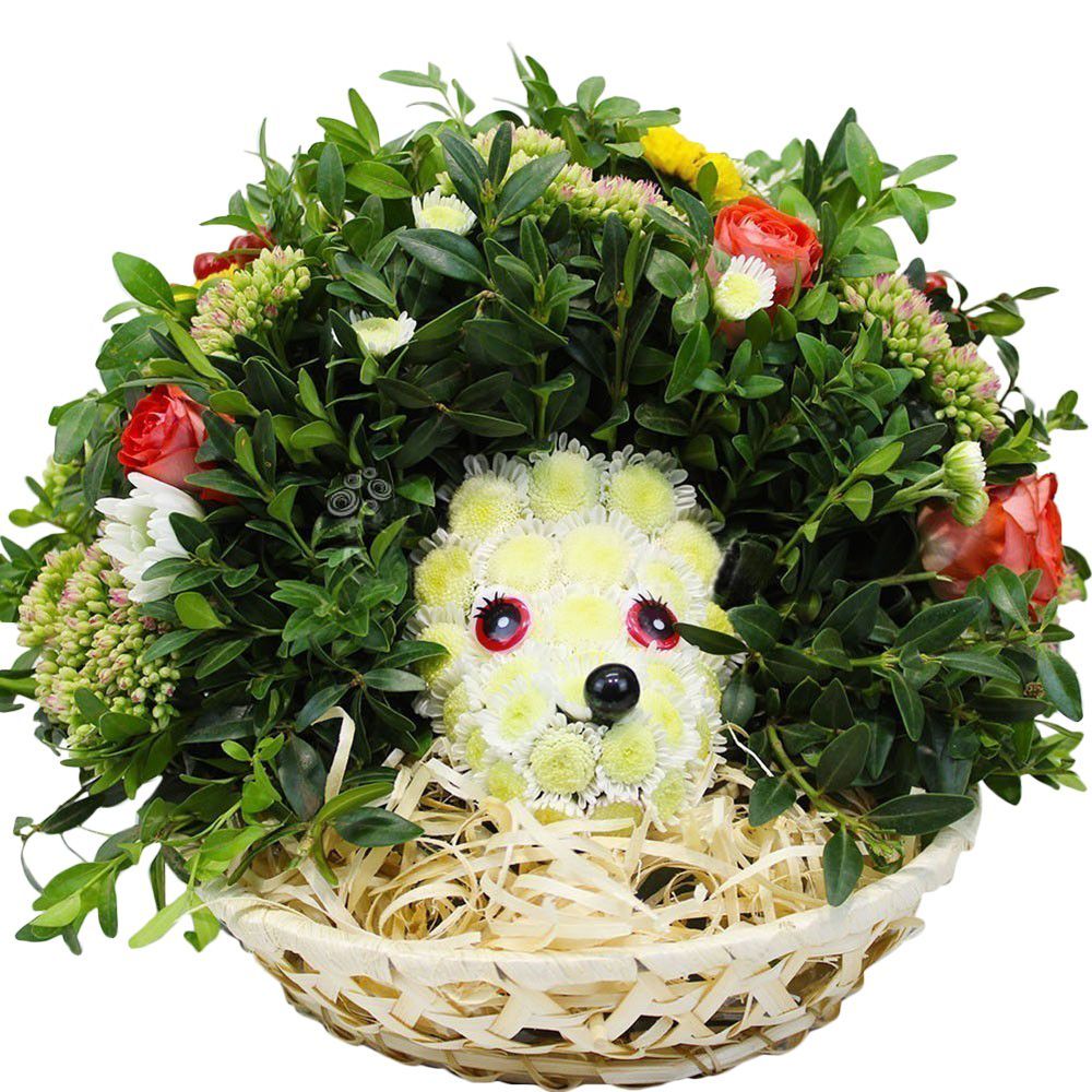 Корзина из живых цветов Ёжик