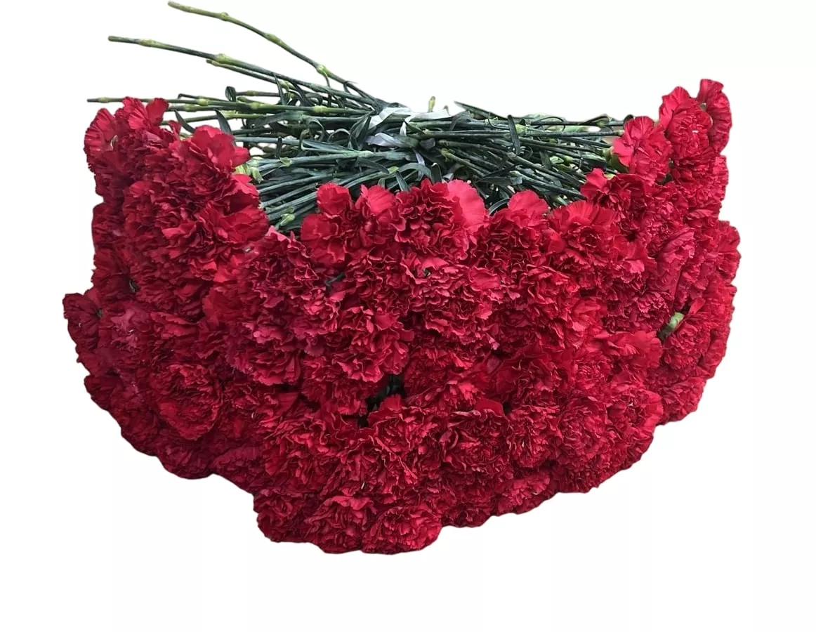 Букет из гвоздик