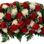 Миниатюра фото