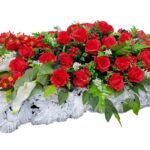 Миниатюра фото